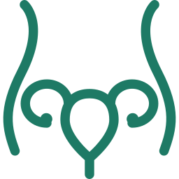 icon - /uploads/s/n/r/j/nrjzaz8ggezo/img/full_5nabsPTh.png