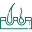 icon - /uploads/s/n/r/j/nrjzaz8ggezo/img/full_H99n4b8b.png