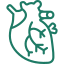 icon - /uploads/s/n/r/j/nrjzaz8ggezo/img/full_MY7iJbuU.png